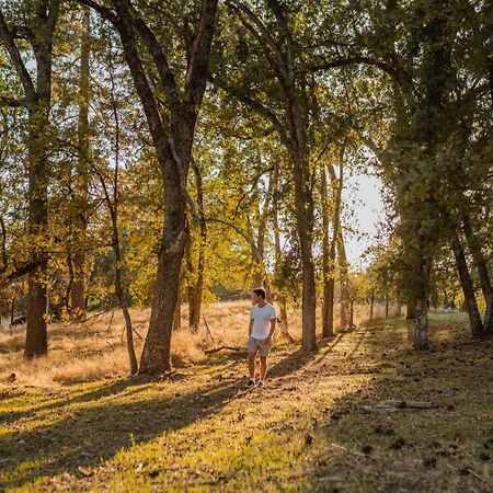 מריפוסה Lovers Nest By Casa Oso With Private Hiking Trails And Pond מראה חיצוני תמונה