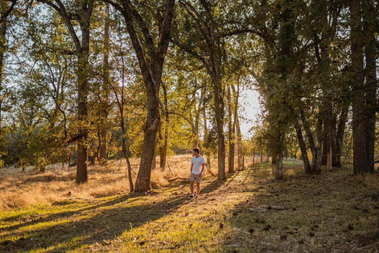 מריפוסה Lovers Nest By Casa Oso With Private Hiking Trails And Pond מראה חיצוני תמונה