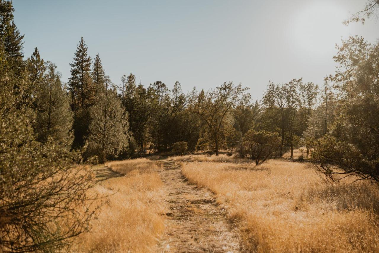 מריפוסה Lovers Nest By Casa Oso With Private Hiking Trails And Pond מראה חיצוני תמונה