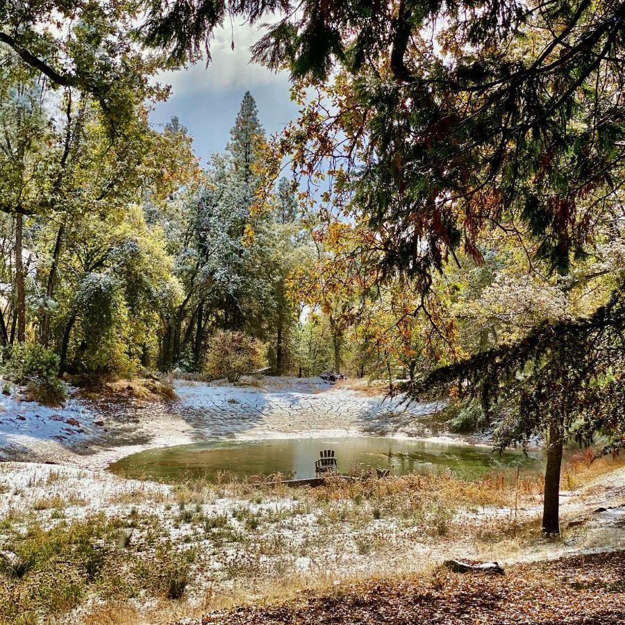 מריפוסה Lovers Nest By Casa Oso With Private Hiking Trails And Pond מראה חיצוני תמונה